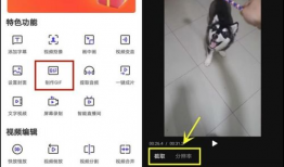 短视频转gif,GIF动画再现精彩瞬间